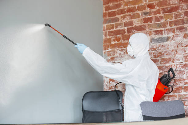 Best Comprehensive Air Testing for Mold Contaminants  in Berkeley, IL