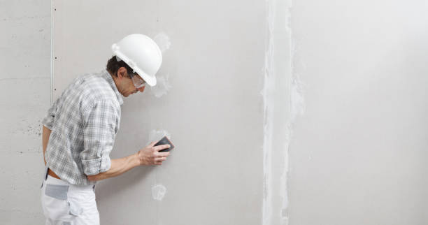 Best Mold Removal for HVAC Installations  in Berkeley, IL