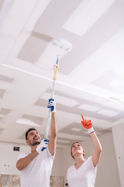 Best Black Mold Removal  in Berkeley, IL