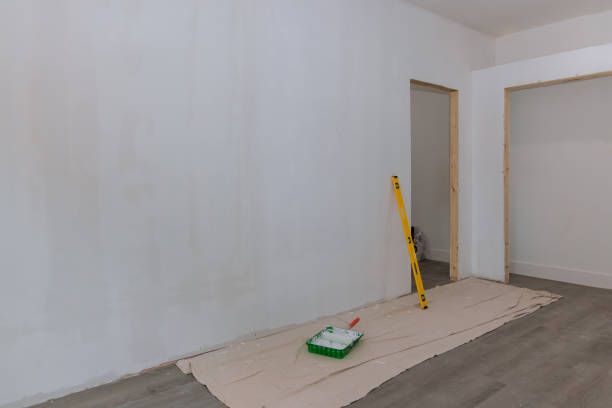 Best Industrial Mold Remediation  in Berkeley, IL