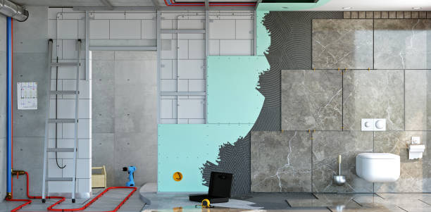 Trusted Berkeley, IL Mold Removal Experts