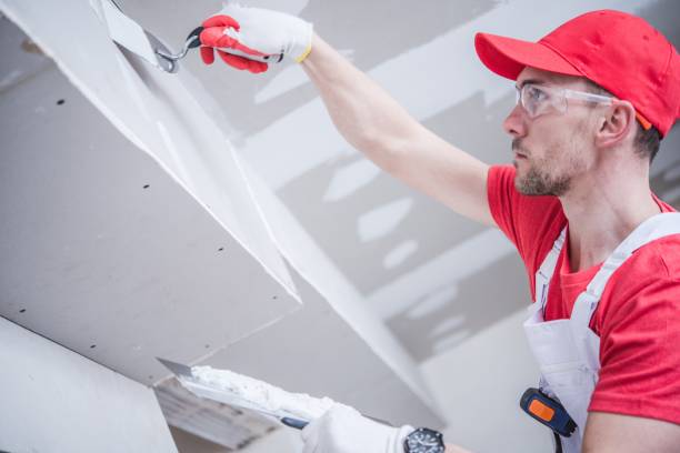 Mold Removal for HVAC Installations in Berkeley, IL