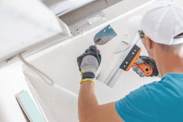 Best Emergency Mold Remediation  in Berkeley, IL